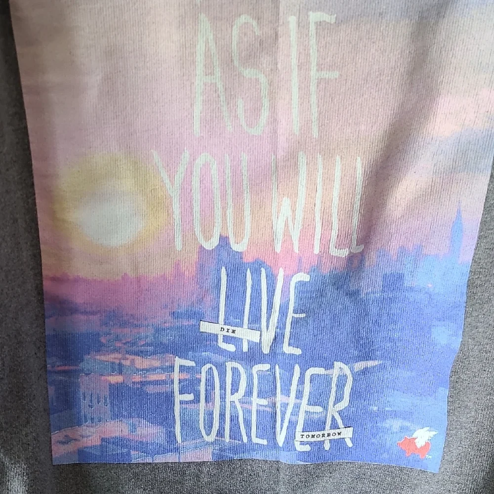 Glamour Kills Gray Crew Neck Sweatershirt Dream As If You Will Live Forever XL - Picture 4 of 10
